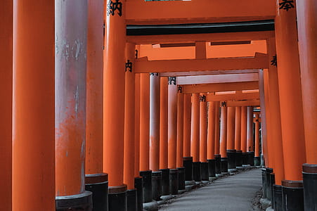 Torii Gate thumbnail