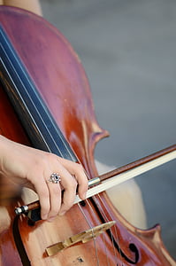 closeup photo of person holding violin and bow thumbnail