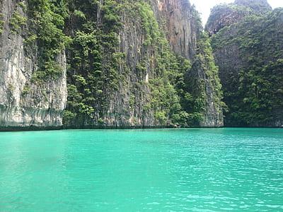 green leafed plants on rock formation in front of body of water thumbnail