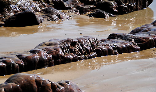 brown rock on mud thumbnail