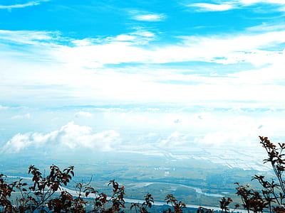 High Angled Photo of Green Leaf Plants in Distant of 2 Rivers Near Green Grass Field thumbnail