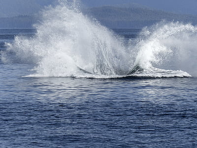 closeup photo of water with waves thumbnail