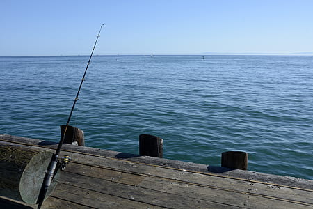 black and brown fishing rod with reel on dock thumbnail