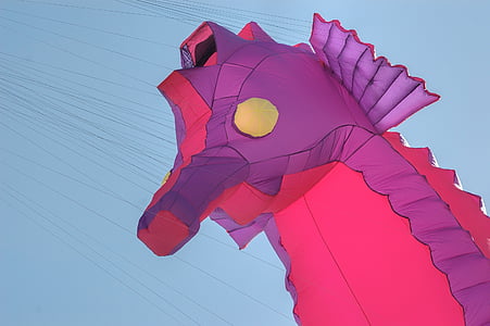 pink and purple seahorse illustration thumbnail