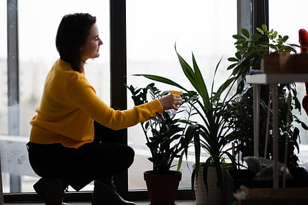 Woman Watering Plants thumbnail