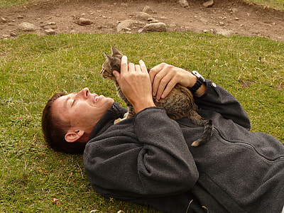man holding gray cats thumbnail