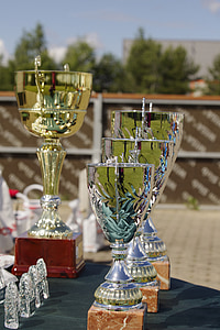 gold-colored trophies thumbnail