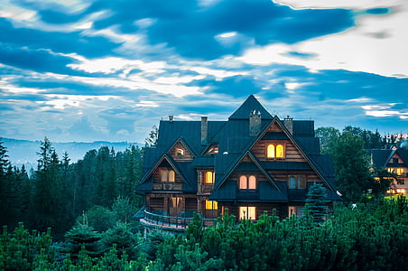black and brown house surrounded by trees under gray sky thumbnail