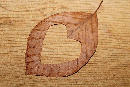 heart cutted in leaf thumbnail
