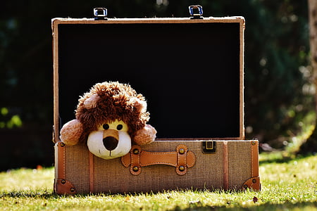 brown lion plush toy in briefcase thumbnail