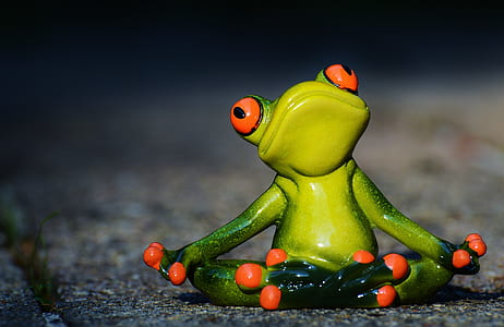 tiltshift lens photo of green frog figurine thumbnail