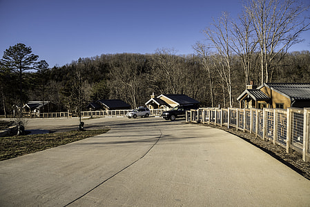 Lodging Cabins in Echo Bluff State Park, Missouri thumbnail
