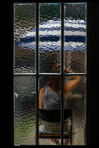 frosted glass window showing person under umbrella thumbnail