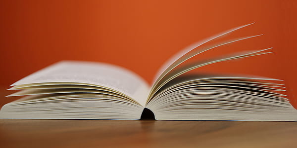 school, orange, research, book thumbnail