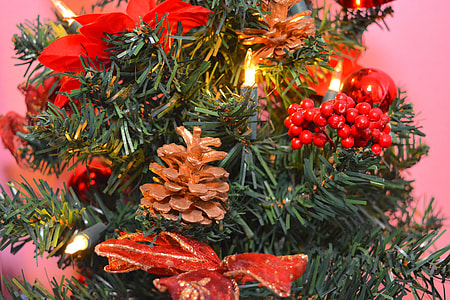 Christmas, Brad thumbnail