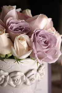 selective focus photograph of pink rose thumbnail