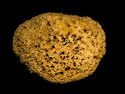 round brown stone thumbnail