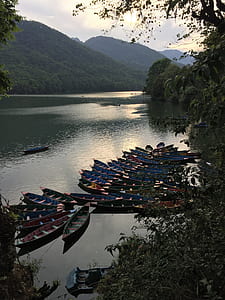 canoes on body of water surrounded by trees thumbnail