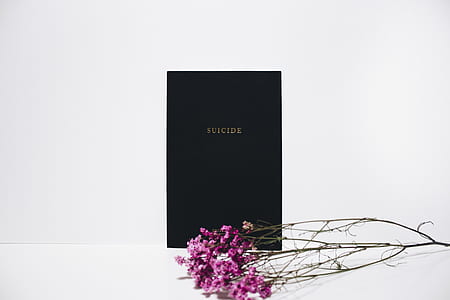 purple flowers thumbnail