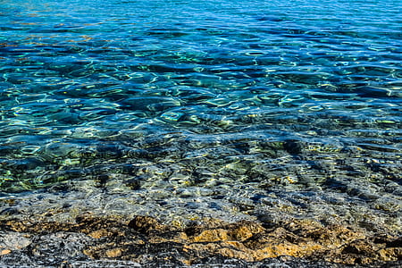 sea, water, clear, transparent, nature, ocean thumbnail