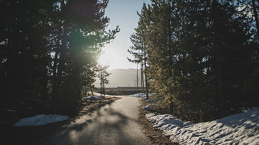 landscape photography of asphalt road surrounded by trees and snow thumbnail