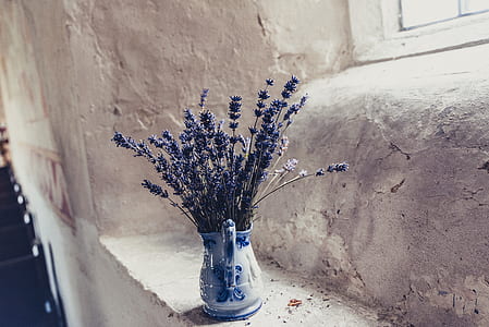 white and blue floral vase and purple hyacinths thumbnail