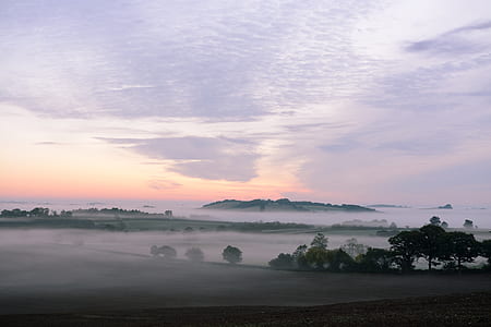 green trees near body of water covered with fog at daytime thumbnail