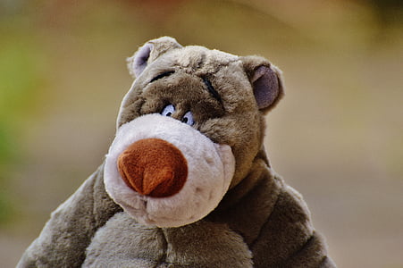 selective focus photography of brown bear plush toy thumbnail