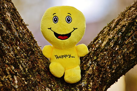 smiley emoji plush toy on tree trunk taken during daytime thumbnail