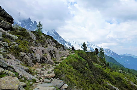 man walking on stone beside tree thumbnail