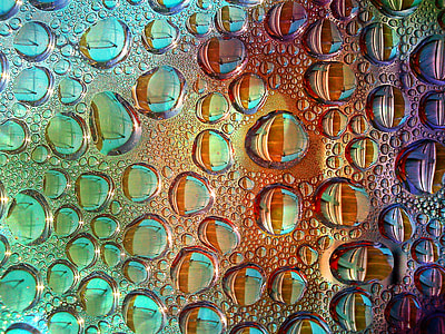 shallow focus photograph of water drops thumbnail