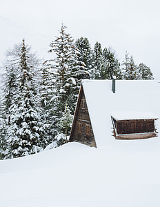 house covered in snow beside forest thumbnail