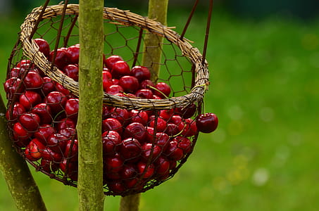selective focus photo of basket of red cherries thumbnail