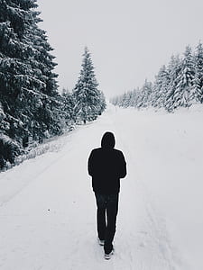 Person Wearing Black Hoodie While Walking on Snow Covered Road Near Pine Trees thumbnail