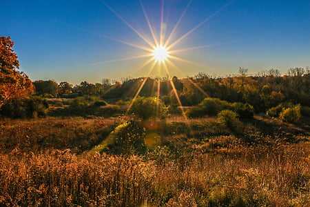 brown grass field near green trees at daytime thumbnail