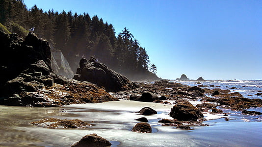photo of seashore with rock formation thumbnail