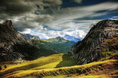 green grass field thumbnail