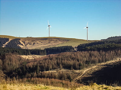 Green Meadow Under Blue Sky thumbnail