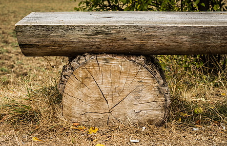 brown tree log bench thumbnail