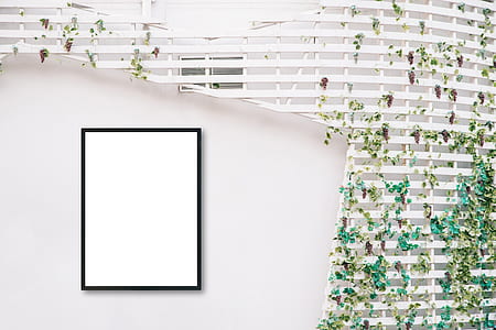 wood, wall, design, creativity thumbnail