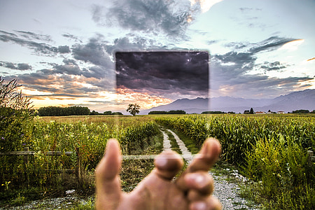 person holding photo with green grasses thumbnail