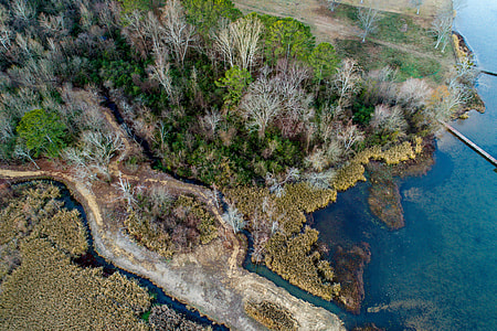 aerial photo of bare and green trees beside stream and body of water thumbnail