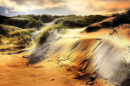landscape photography of a desert thumbnail