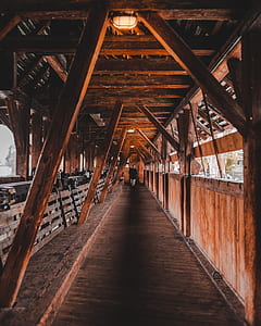 brown wooden pathway thumbnail