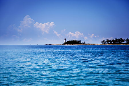 white lighthouse near tree and body of water under blue sky thumbnail