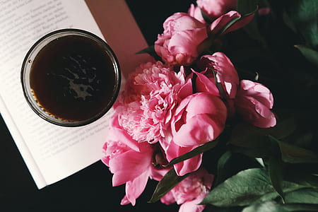 flowers, glass, petals, blur thumbnail