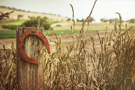 brown metal horse shoe hanging on brown post thumbnail