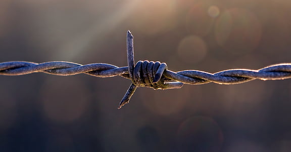 selective focus photography of gray link wire thumbnail