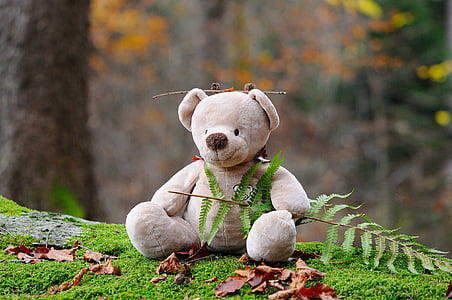 shallow focus photography of brown bear plush toy holding green plant during daytime thumbnail