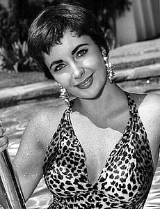 greyscale photography of woman wearing leopard print brassiere thumbnail